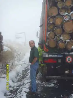 Berufskraftfahrer neben einem mit Rundholz beladenen LKW